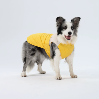 Pet supplies No.021(Sale in group of 2)