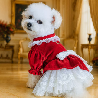 Pet supplies Pet clothes No.001